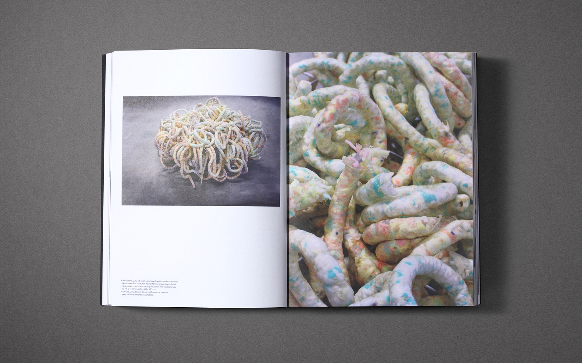 Clélia Berthier - Elisa Rigoulet pour FELICITÀ. Entretien réalisé avec Elisa Rigoulet pour le catalogue FELICITÀ, exposition des félicités des Beaux-Arts de Paris et de Nantes, Novembre 2019. Photos : © Agnès Dahan Studio