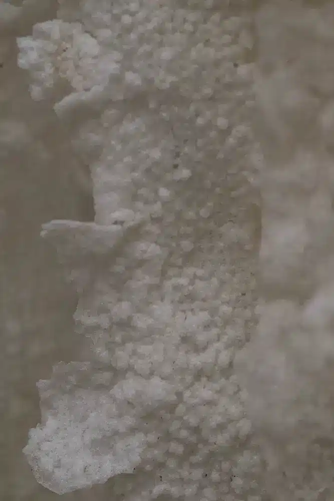 ecume-sculpture-friture4