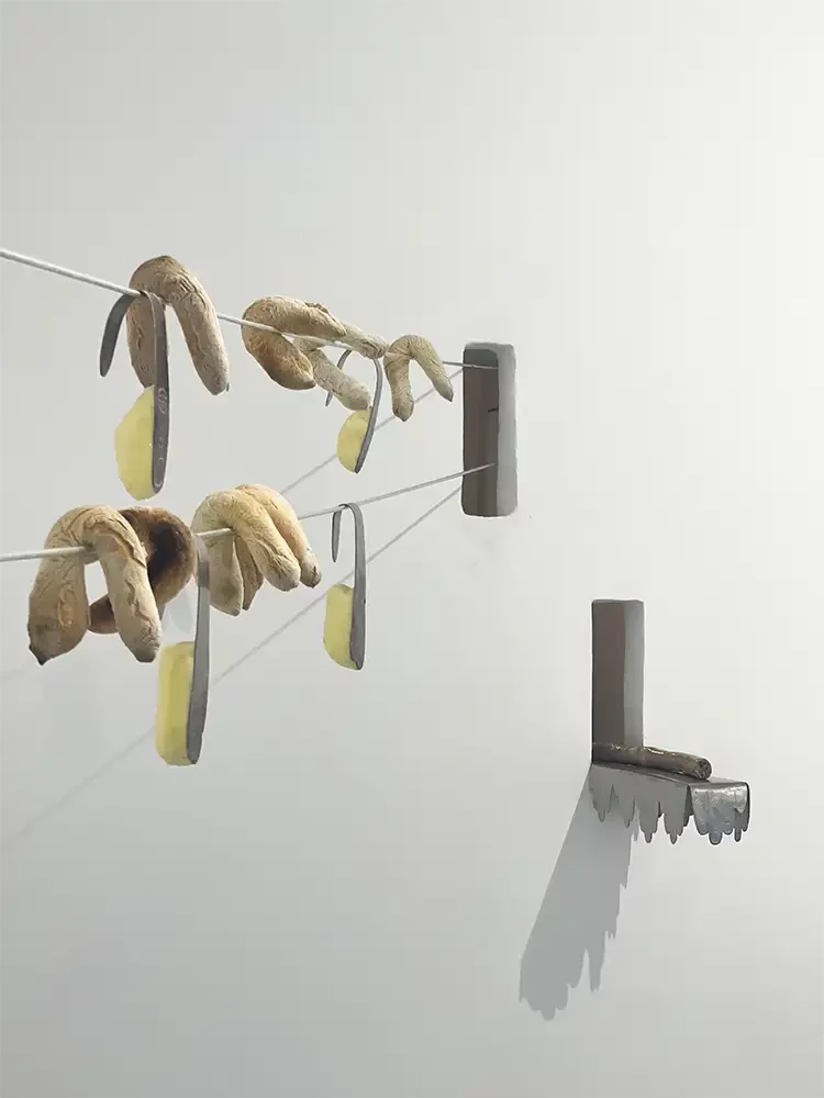 Premier service, 2024